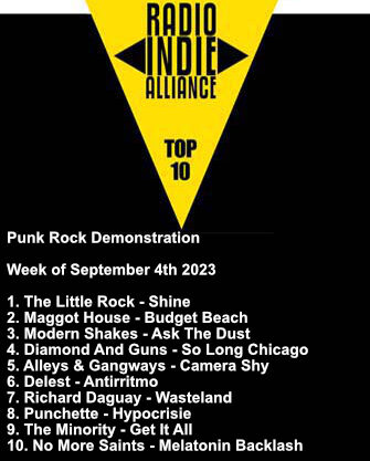 TOP 10 hypocrisie Punchette punk rock demonstration